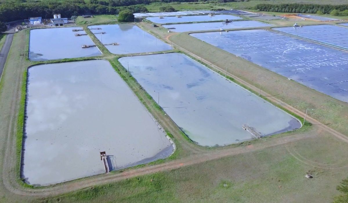 foto Not&iacute;cia Pirassununga