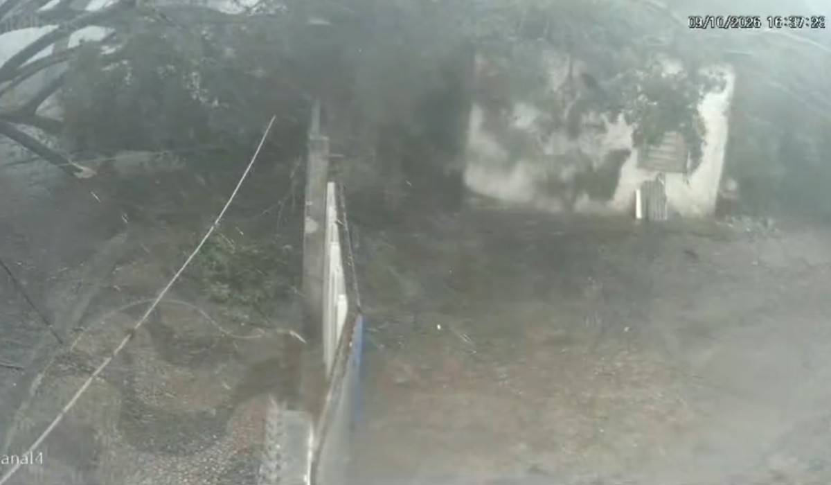 foto Not&iacute;cia Pirassununga